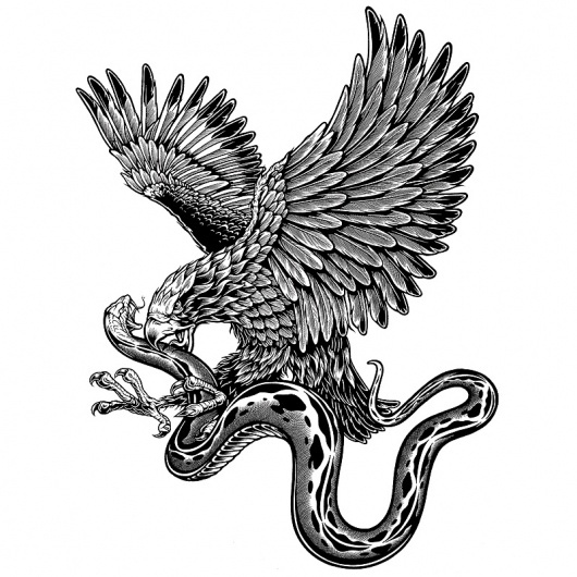 b&w_31.jpg (800×800) #illustration #eagle #badass #snake