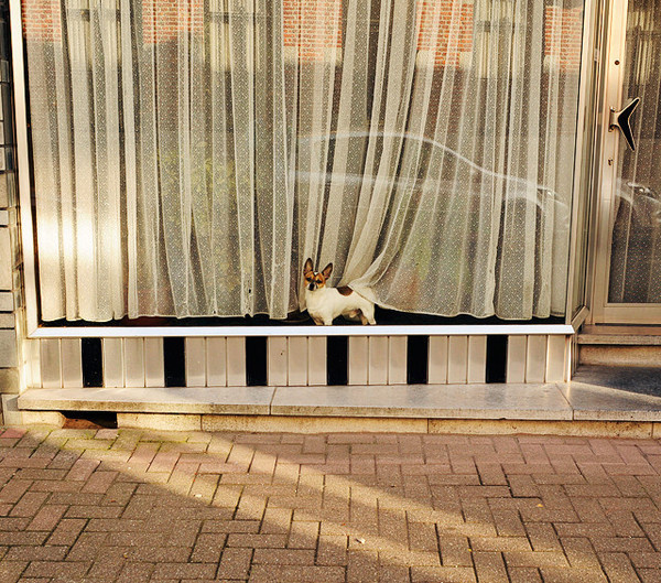 Photography by Joris Vandecatseye #inspration #photography #art