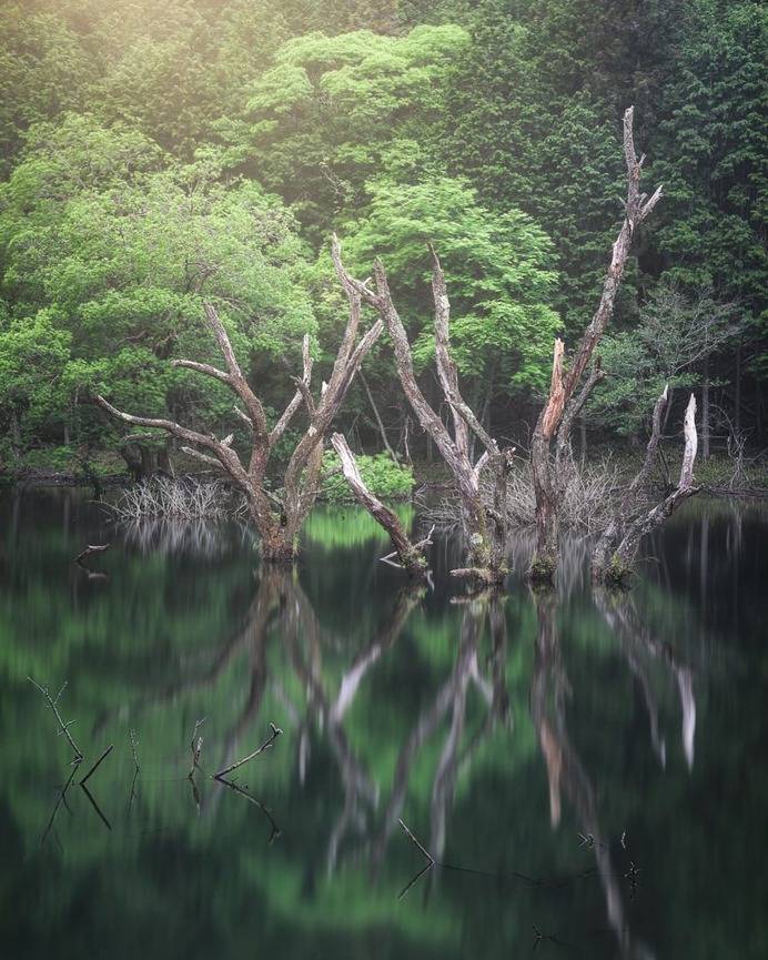 Beautiful Landscape Photography in Japan by Mitsuki Koyama