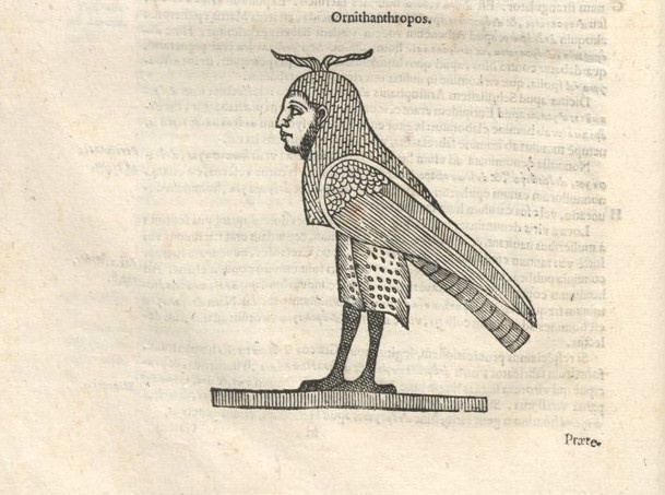 000144 #naturalism #aldrovandi #illustration #latin #ulisse #monster #drawing