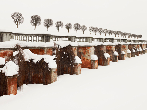 PATIENCE Color Photographs by Josef Hoflehner & Jakob Hoflehner #photo #wall #trees #winter