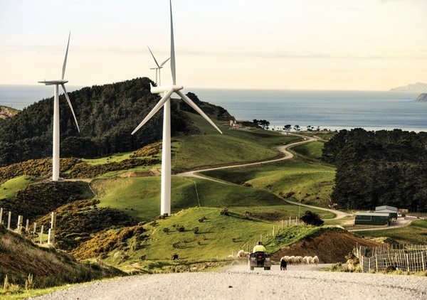 Best Awards Creature. / Meridian Annual Report Photography 2012 #zealand #awards #meridian #best #new