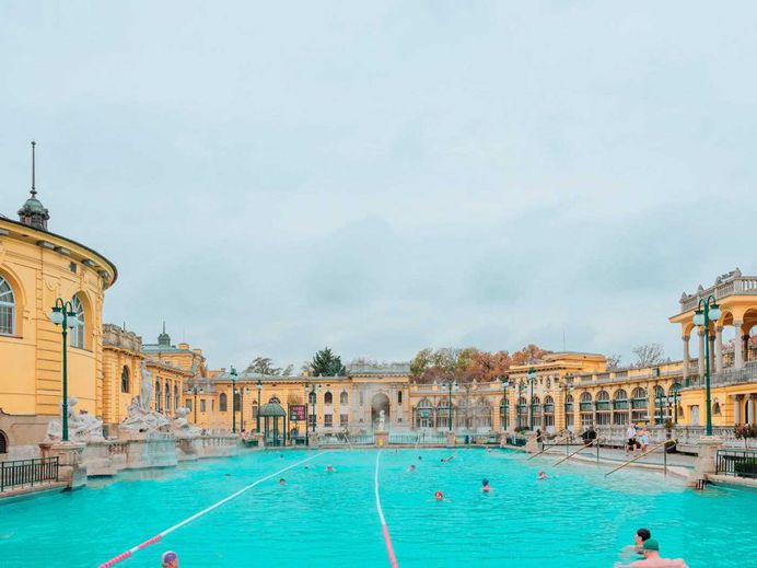 Budapest, the Old Lady: Architectural Photographs by Ludwig Favre