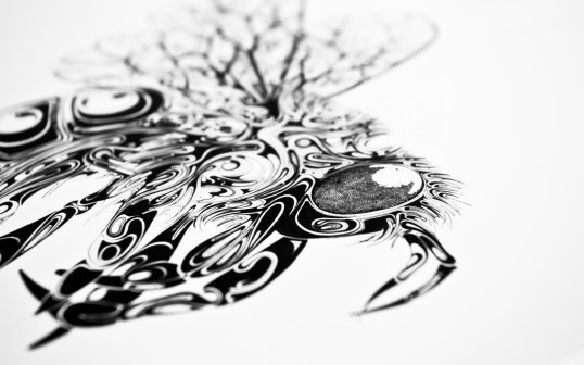 Airborne in defringe.com #airborne #print #defringe #illustration #animals #drawing #sketch