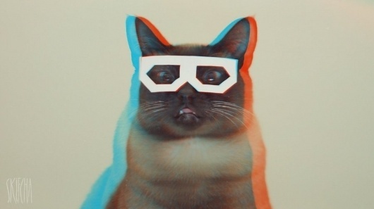 stereo skifcha by ~xGaBBeRx on deviantART #glass #cat