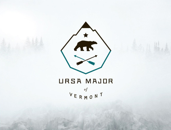 logo design idea #105: ursa major logo design #logo #design