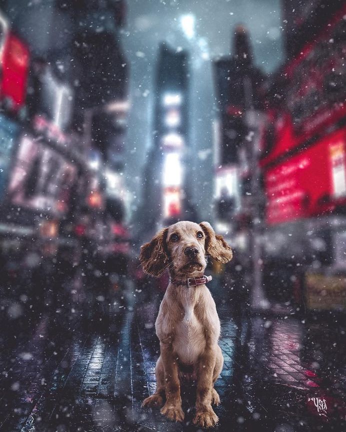 Surreal and Dreamlike Photo Manipulations by Stan Wesley