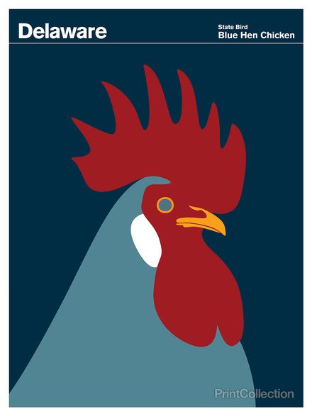 Delaware #rooster #red #chicken