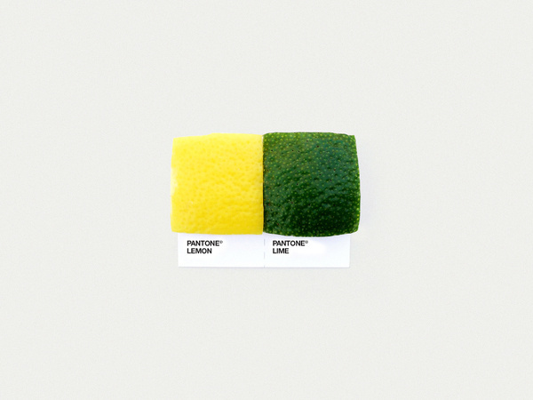 Food Art Pairings Dschwen LLC. | Design & Illustration #photography