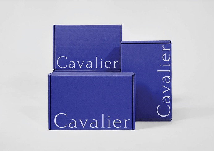 Cavalier Jewelers Branding - Mindsparkle Mag Cansu Merdamert is the owner of this beautiful project of branding and packaging for Cavalier Jewelers. #logo #packaging #identity #branding #design #color #photography #graphic #design #gallery #blog #project #mindsparkle #mag #beautiful #portfolio #designer