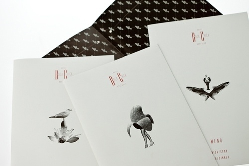 gallery #anonima #branding #chica #design #boca #sociedad #hotel