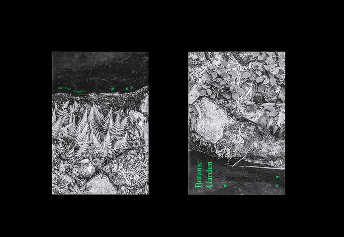 VISION LAB:s1-綠色台灣 GREEN / WILD on Behance