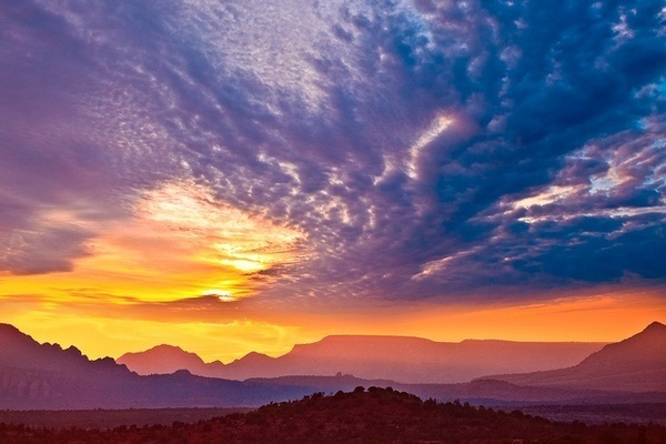 Photography by Laura Tidwell #inspiration #photography #nature