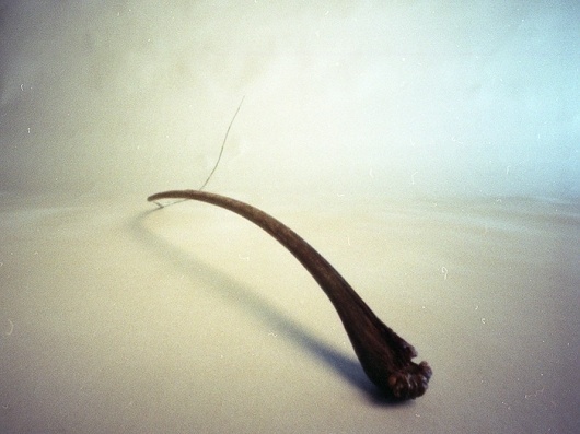 Alle Größen | ... | Flickr - Fotosharing! #pinhole #camera #holz #lochkamera #obscura