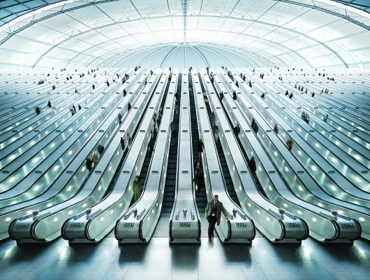 The Fox Is Black #escalators #wide