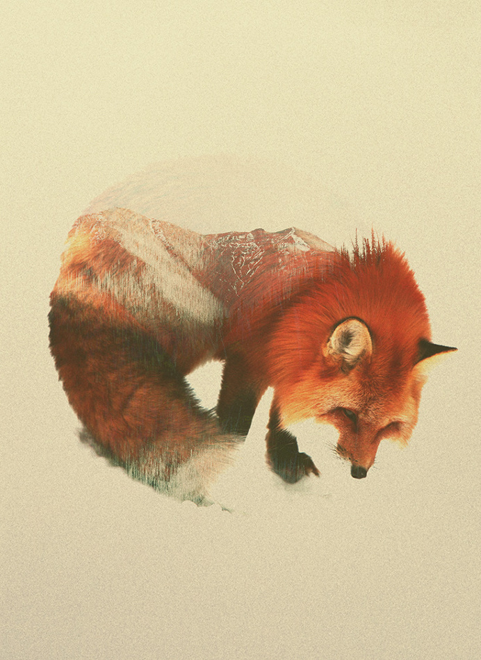 The Animal Kingdom