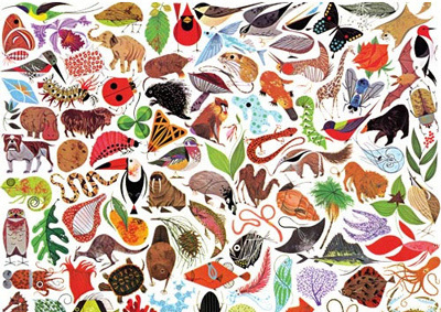 Animals - Charley Harper #charley #illustration #harper #animals