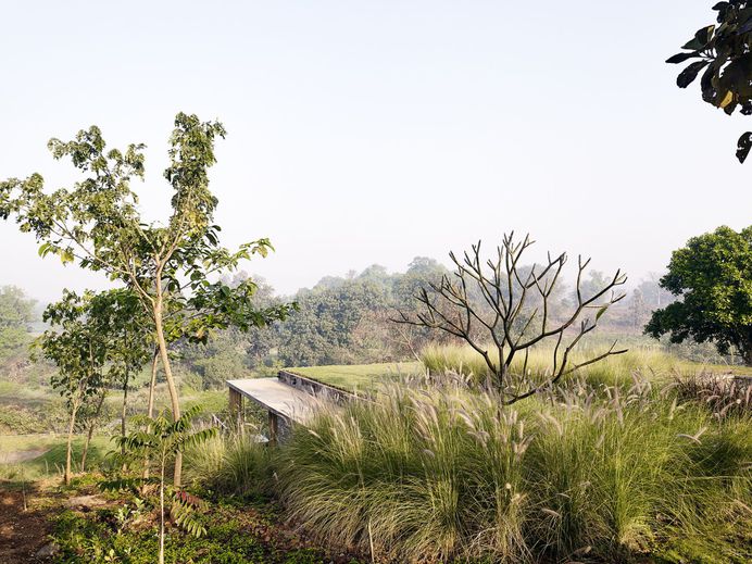The Riparian House by Architecture BRIO