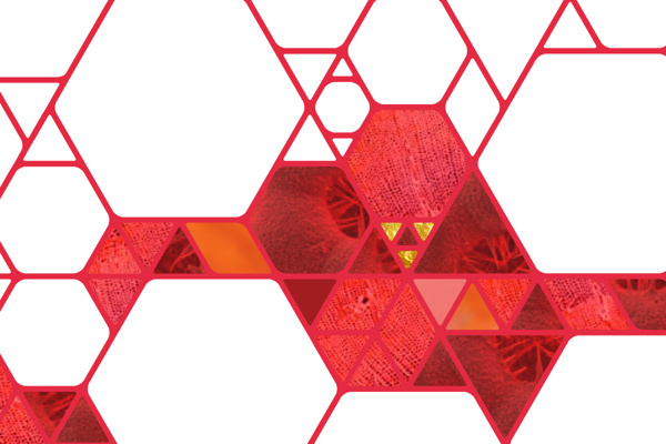 King Saud, University on Behance #polygon #pattern #building #identity #molecule