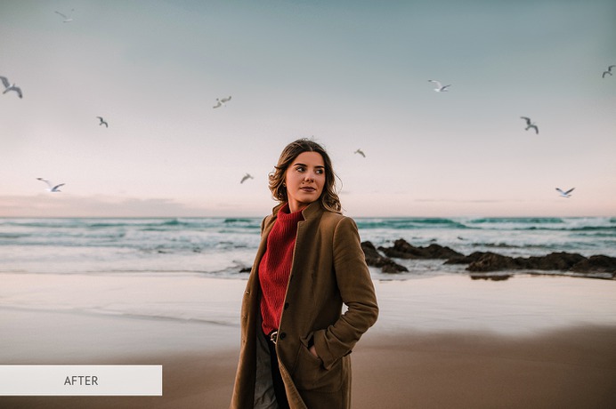 Flying Seagulls Photoshop Overlay – 31 High-quality Photoshop Overlays