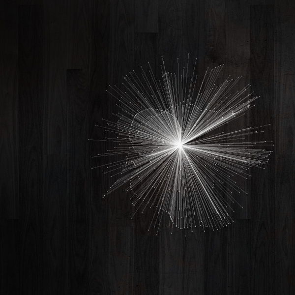 Complex Nature on Behance #generative #geometry #illustration #art #fine