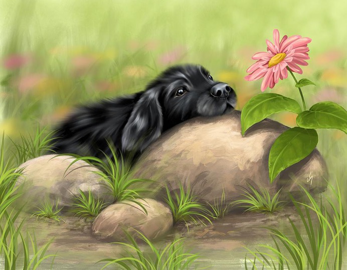 daisy painting & daisy paint by number #painting