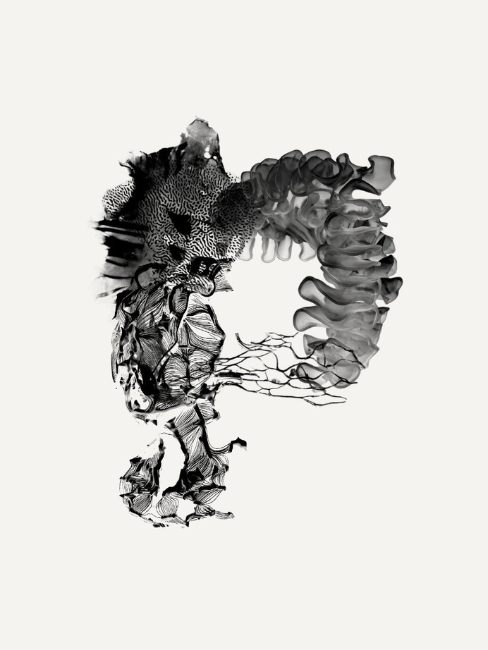 Wallpaper Neri Oxman Spinstudio 05
