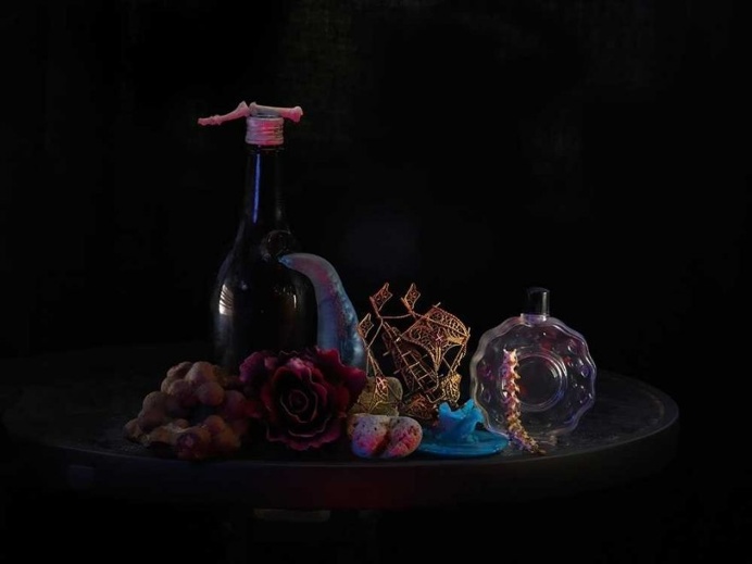 Spectacular Still Life Photography by Fiona Pardington