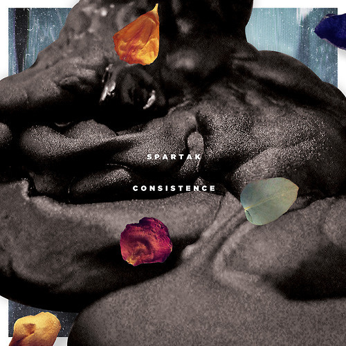 AM/GD #scan #flowers #petals
