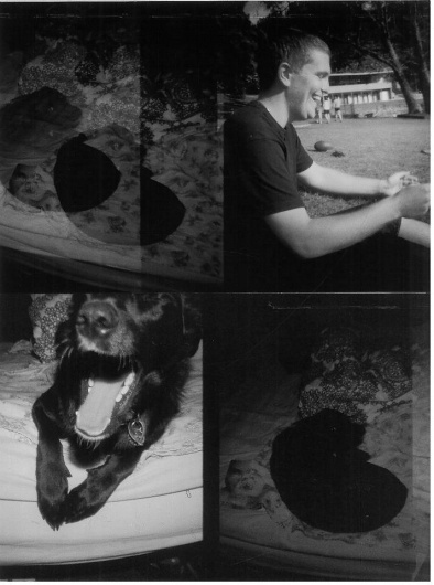 Don't look at me, i'm only breathing.. S|11|12 #diana #friends #dog