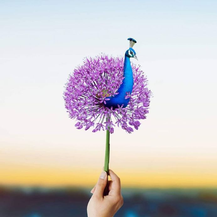 Playful and Dreamlike Photo Manipulations by Phuoc Nguyen