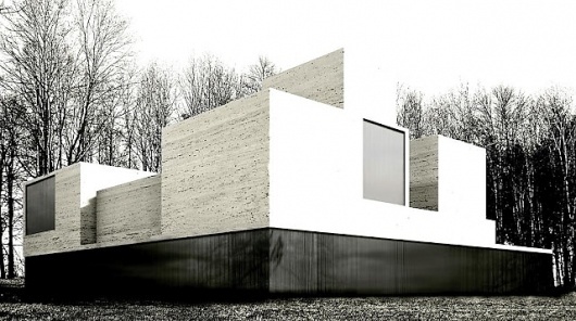 a f a s i a: 12 . cheungvogl #architecture