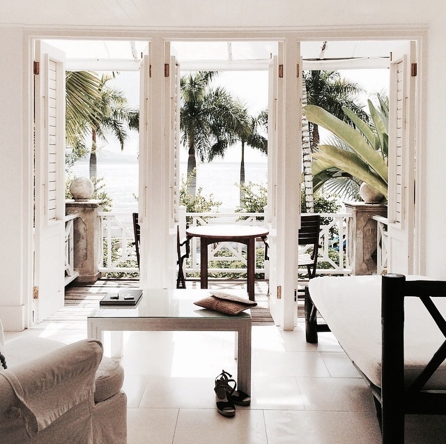 #palms #interior #exotic
