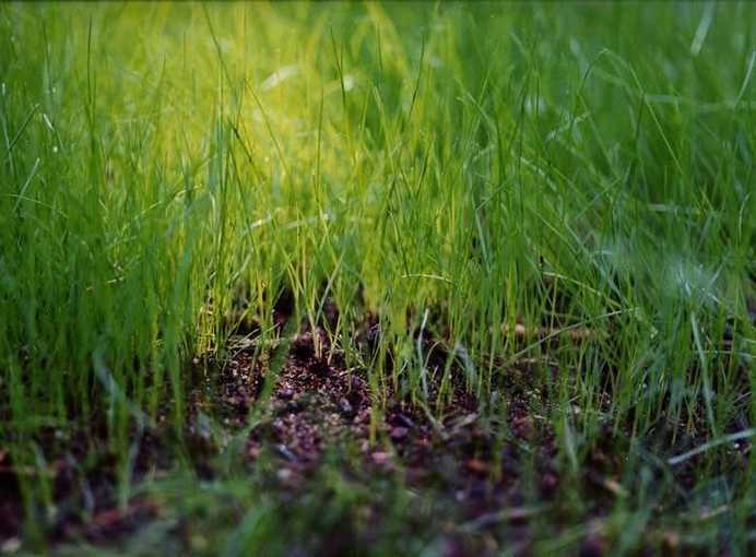 Solid Ground by Holly Lynton #inspiration #photography #art