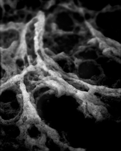 methode : Christian Tochtermann #close #space #methode #photography #up #organic