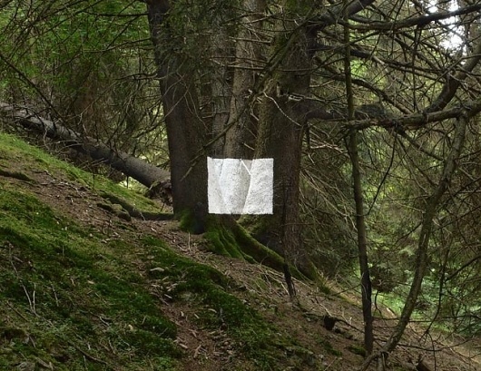 January Imberi #imberi #paint #photography #jan #trees