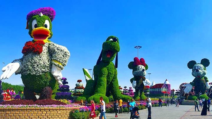 Disney Avenue's topiary arts of the Disney characters comprise of almost all colors of petunia flowers. Alternanthera is also grown as green patches throughout the floral themes.