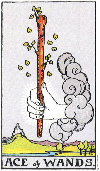 1w.jpg (350×600) #tarot