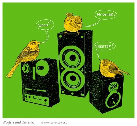 Beautiful/Decay Cult of the Creative Arts #woofer #tweeter #birds #illustration #speakers