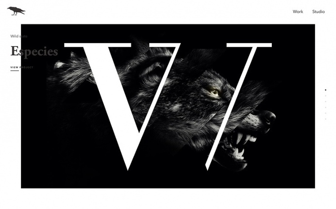 Mutanz madrid creative studio art direction design branding creative webdesign best inspiration design blog mindsparklemag