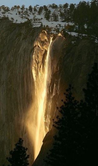 Piccsy :: Express your nature. #photography