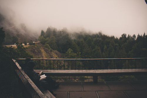 Likes | Tumblr #balcony #fog #tree