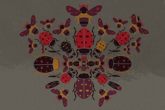 insekta mood : Cristian Grossi illustrator and creative designer #insects #pinko #italian #illustration #insekta #fashion #grossi #cristian