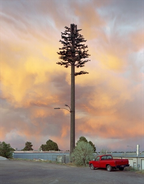 Sasha Bezzubov | PICDIT #photo #photography #tree #landscape