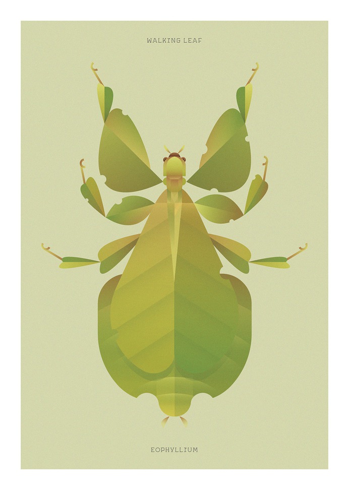 Behance :: For You
