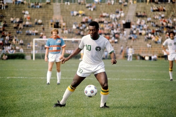 PA 304241.jpg (1500×999) #pele