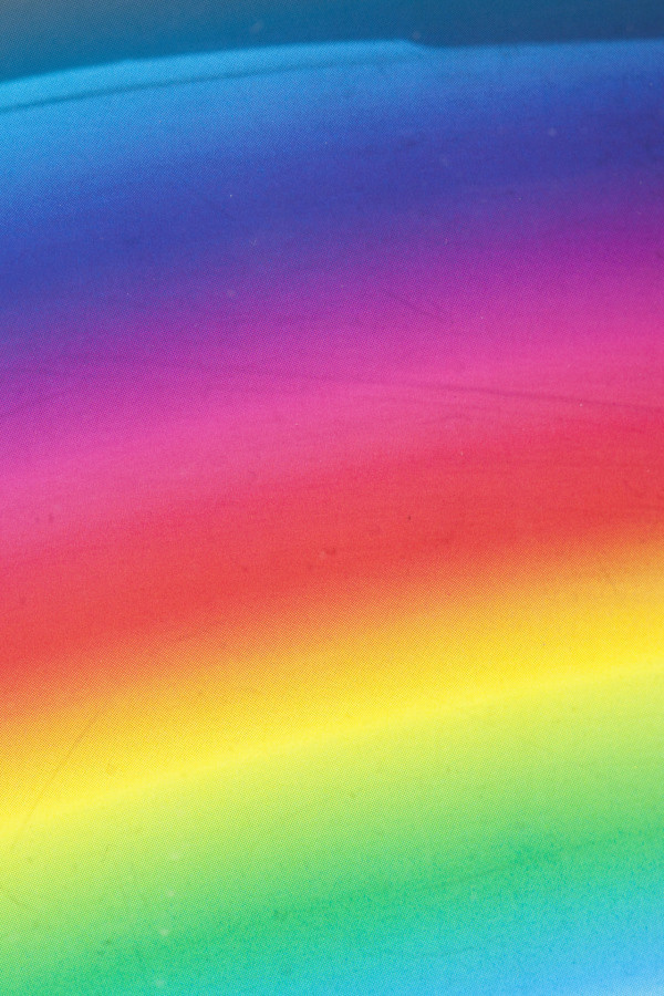 Taisuke Koyama | PICDIT