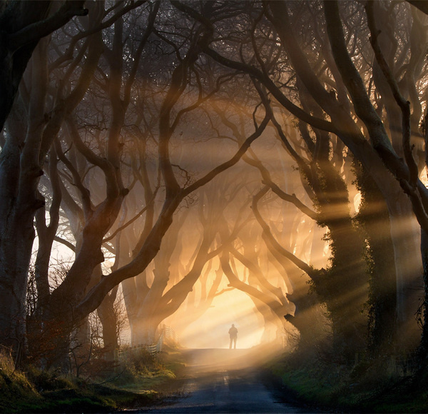 Misty Nature Photography #photo