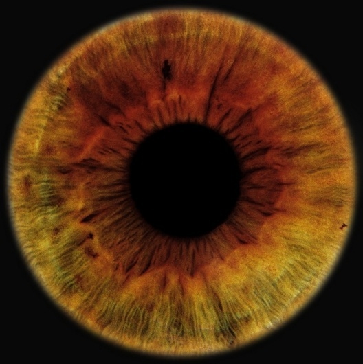 Portfolio | Special Projects « RANKIN #eyescapes #photography #rankin