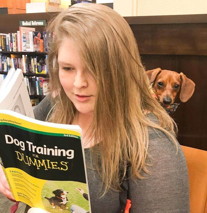 Most Dog Friendly Stores in America - Barnes and Noble